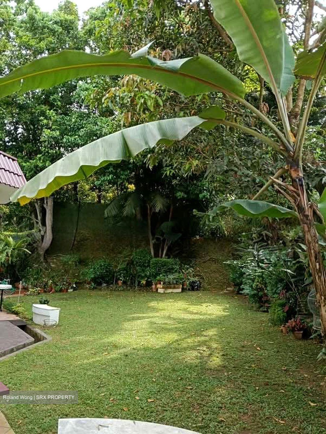Woodlands Park (D25), Semi-Detached #537189741